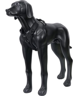 ICEPEAK PET TOUR M BLACK CAR HARNESS Main Image