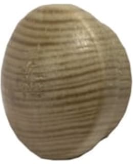 PISLA 345/15 TERVALEPPÄ KARMITULPPA Main Image