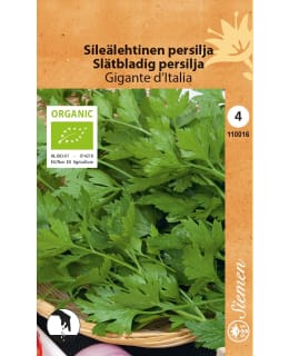 LUOMU SILOPERSIL GIGANTE D'ITALIA SIEMEN Main Image