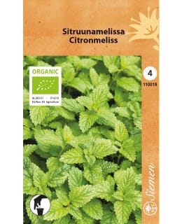 LUOMU SITRUUNAMELISSA SIEMEN Main Image