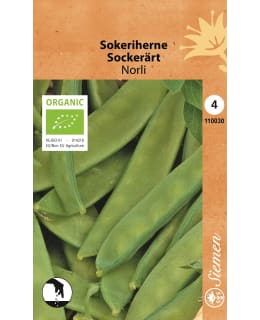 LUOMU SOKERIHERNE NORLI Main Image