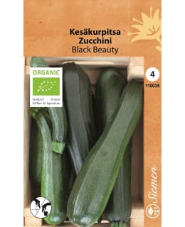 LUOMU KESÄKURPITSA BLACK BEAUTY Main Image