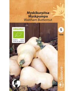 LUOMU MYSKIKURPWALTHAM BUTTERNUT SIEMEN Main Image