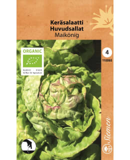 LUOMU KERÄSALAATTI MAIKÖNIG Main Image