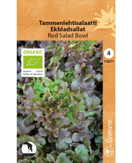 LUOMU TAMMENLEHTISALAATTI RED SIEMEN Main Image