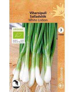 LUOMU VIHERSIPULI WHITE LISBON SIEMEN Main Image