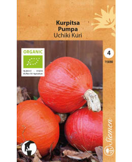 LUOMU KURPITSA UCHIKI KURI SIEMEN Main Image