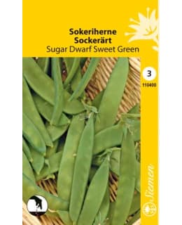SOKERIHERNE SUGAR DW SWEET GREEN  SIEMEN Main Image