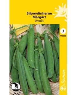 FI:SILPOYDINHERNE AVOLA Main Image
