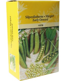 SILPOYDINHERNE EARLY ONWARD 250 G SIEMEN Main Image