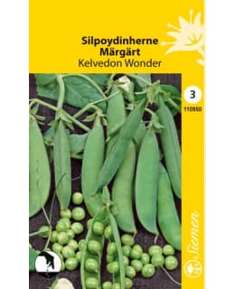 FI:SILPOYDINHERNE KELVEDON WONDER Main Image