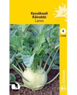 KYSSÄKAALI LANRO  SIEMEN Main Image