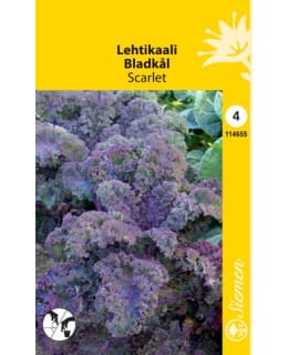 LEHTIKAALI SCARLET, PUNAINEN  SIEMEN Main Image