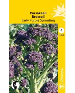 PARSAKAALI RED ARROW Main Image