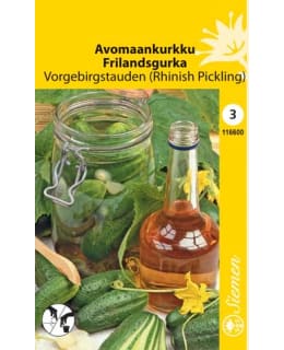 AVOMAANKURKKU VORGEBIRGSTAUDEN SIEMEN Main Image