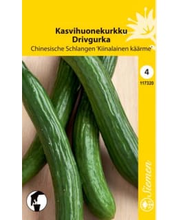 KASVIHUONEKURKKU KIINAL.KÄÄRME SIEMEN Main Image