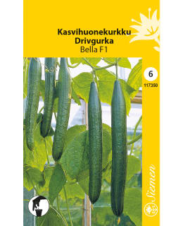 KASVIHUONEKURKKU BELLA Main Image