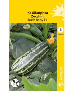 KESÄKURPITSA BUSH BABY RAIDALLINEN Main Image