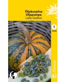 ÖLJYKURPITSA LADY GODIVA SIEMEN Main Image