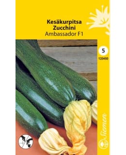 Squash Ambassador F1 Main Image
