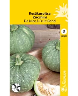 KESÄKURPITSA DE NICE À FRUIT ROND SIEMEN Main Image