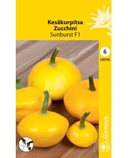 FI:KESÄKURPITSA SUNBURST Main Image