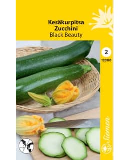 KESÄKURPITSA BLACK BEAUTY SIEMEN Main Image