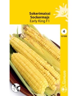 SOKERIMAISSI EARLY KING F1 SIEMEN Main Image