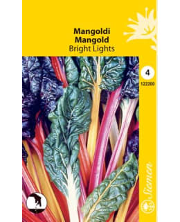 MANGOLDI BRIGHT LIGHTS Main Image