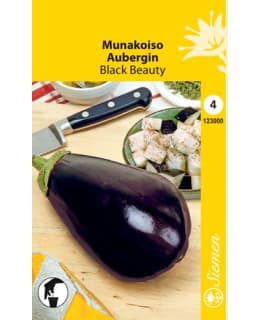 FI:MUNAKOISO BLACK BEAUTY Main Image
