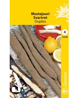 MUSTAJUURI  DUPLEX SIEMEN Main Image