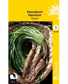 KAURAJUURI GIANT Main Image