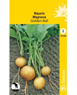 NAURIS GOLDEN BALL SIEMEN Main Image