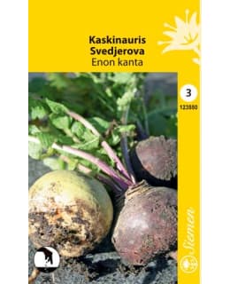 Kaskinauris Enon Kanta siemen Main Image