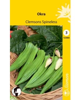 OKRA CLEMSONS SPINELESS SIEMEN Main Image