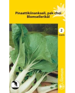FI:PINAATTIKIINANKAALI PAK-CHOI Main Image
