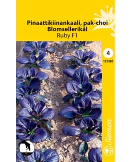 PINAATTIKIINANKAALI ELI PAK-CHOI RUBI F1 Main Image