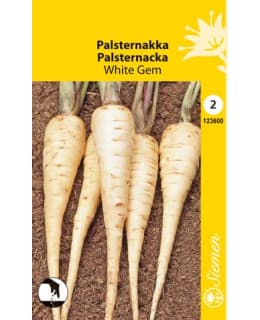 PALSTERNAKKA WHITE GEM SIEMEN Main Image