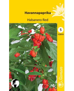 HAVANNAPAPRIKA HABANERO RED SIEMEN Main Image