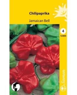 CHILIPAPRIKA JAMAICAN BELL SIEMEN Main Image