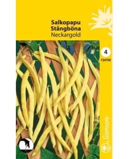 SALKOPAPU NECKARGOLD Main Image