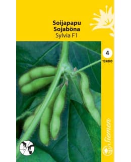 SOIJAPAPU SYLVIA F1 Main Image