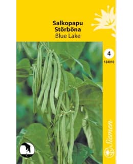 SALKOPAPU BLUE LAKE SIEMEN Main Image
