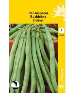 PENSASPAPU DELINEL SIEMEN Main Image