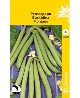 PENSASPAPU MONTANO SIEMEN Main Image