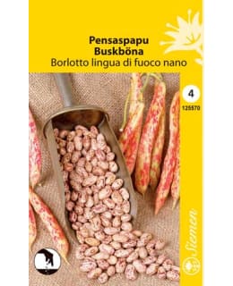 PENSASPAPU BORLOTTO LINGUA DI FUO SIEMEN Main Image