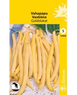 VAHAPAPU GOLDDUKAT SIEMEN Main Image