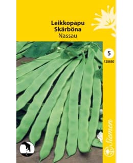 LEIKKOPAPU NASSAU SIEMEN Main Image