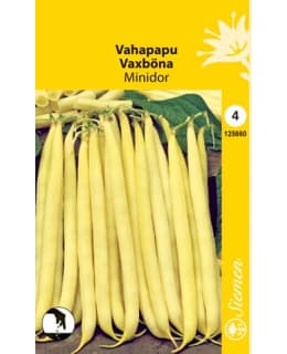 VAHAPAPU MINIDOR Main Image