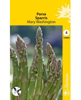 FI:PARSA GLORY OF WASHINGTON Main Image